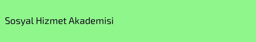 Sosyal Hizmet Akademisi